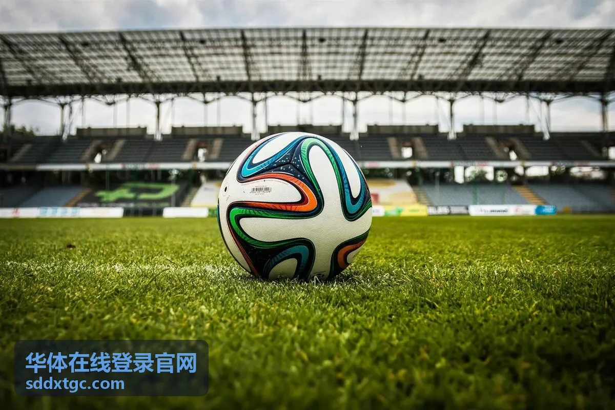 华体在线登录官网多终端适配效果示意