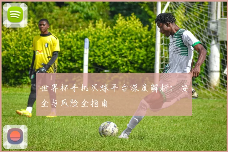 世界杯手机买球平台深度解析：安全与风险全指南